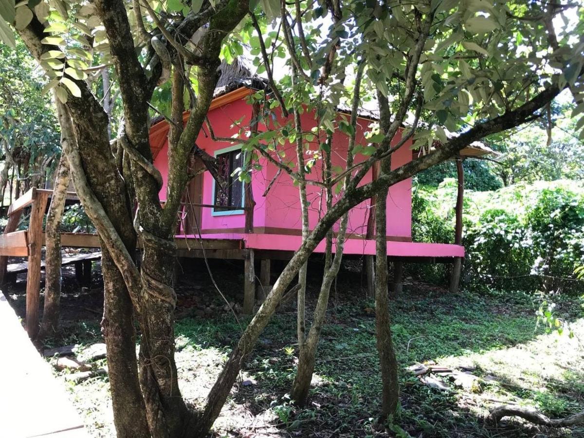 Gibbon Lodge Sen Monourom Esterno foto